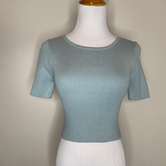 Pale Sage Green Cropped Ribbed Short Sleeve Sweater Sz Small - Picture 1 of 7
